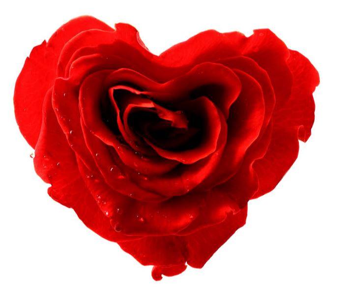 Amor