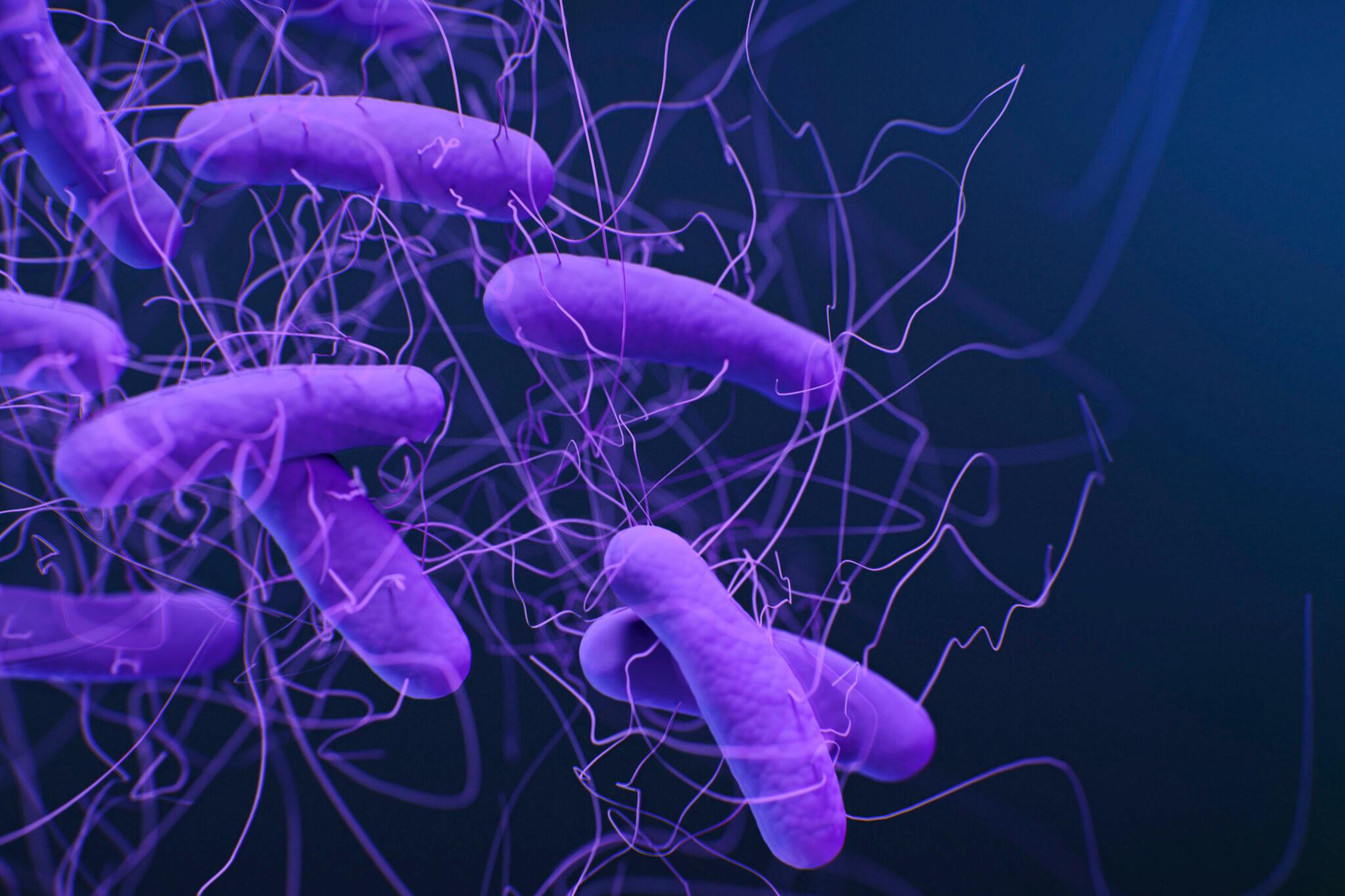 Clostridioides difficile