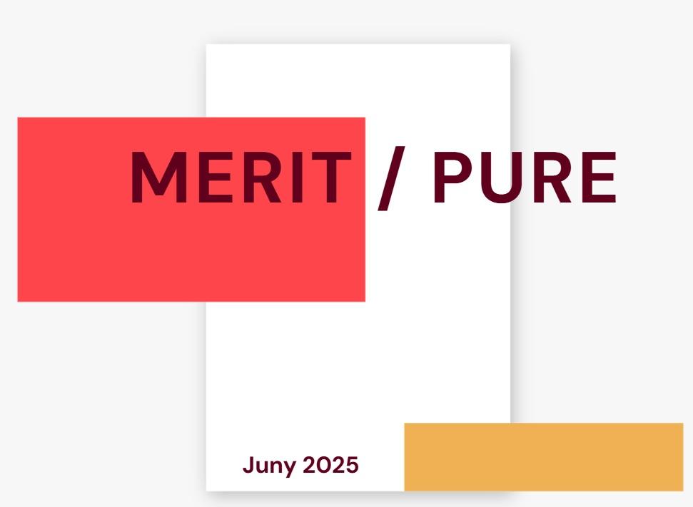 Curs MERIT