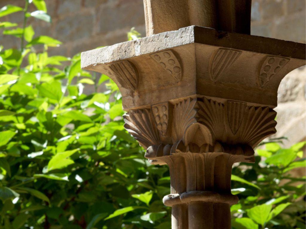Imatge de dialegs pedralbes
