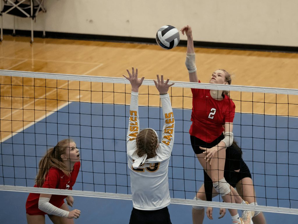 Imatge de recurs de noies jugant a vòlei