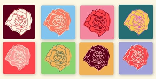 8 roses de diferents colors