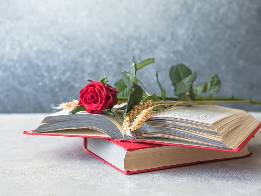 sigantura llibres profes