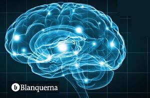 Blanquerna Salut dedica una jornada a la fisioteràpia infantil i la neurofisioteràpia
