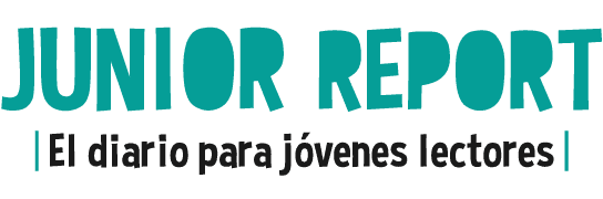 logo junior report