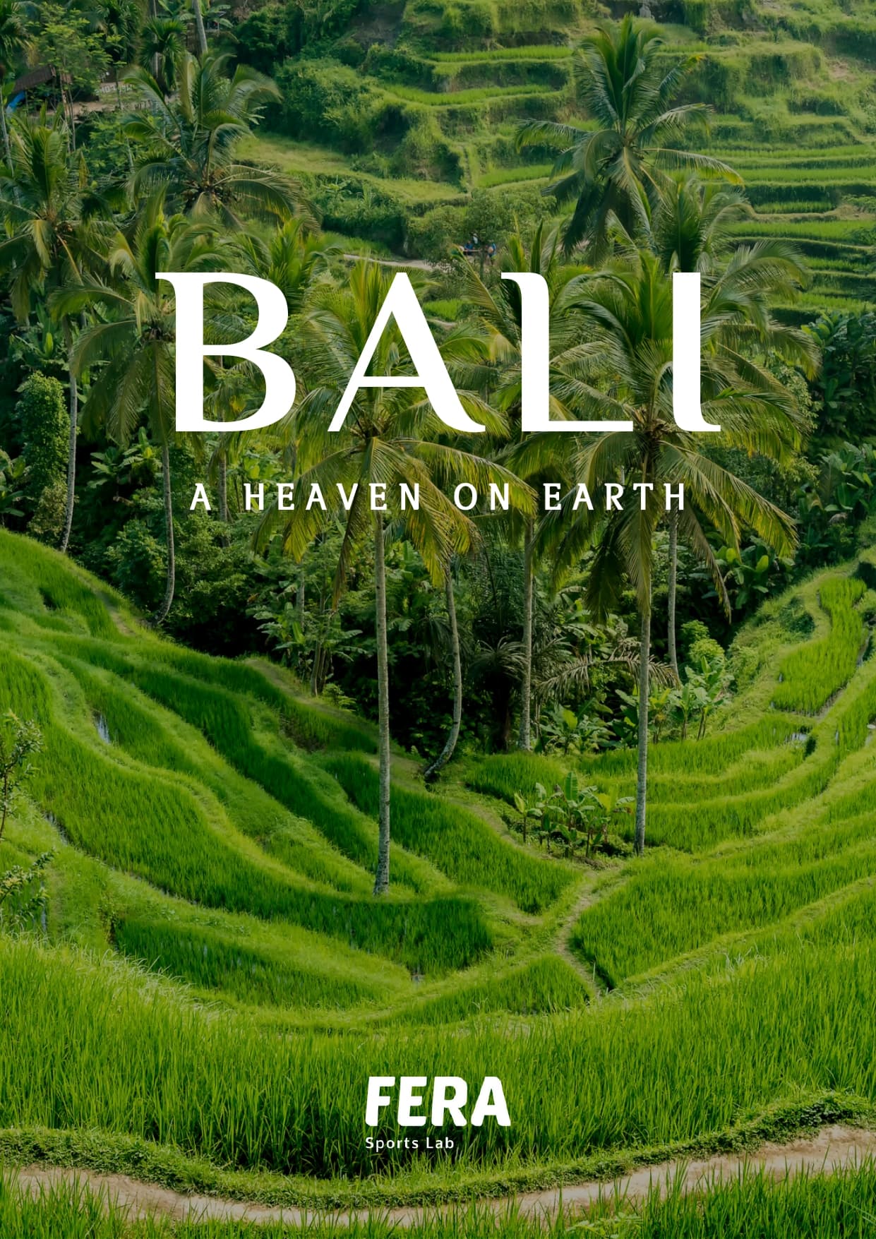 cartell de promoció del viatge